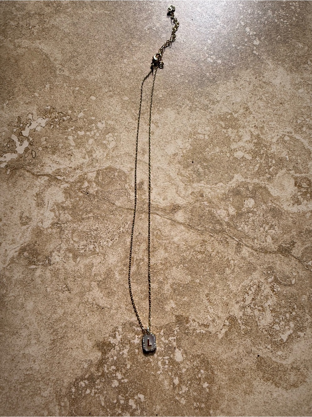 Delicate Gold-Tone Pendant Necklace with L Initial Accent